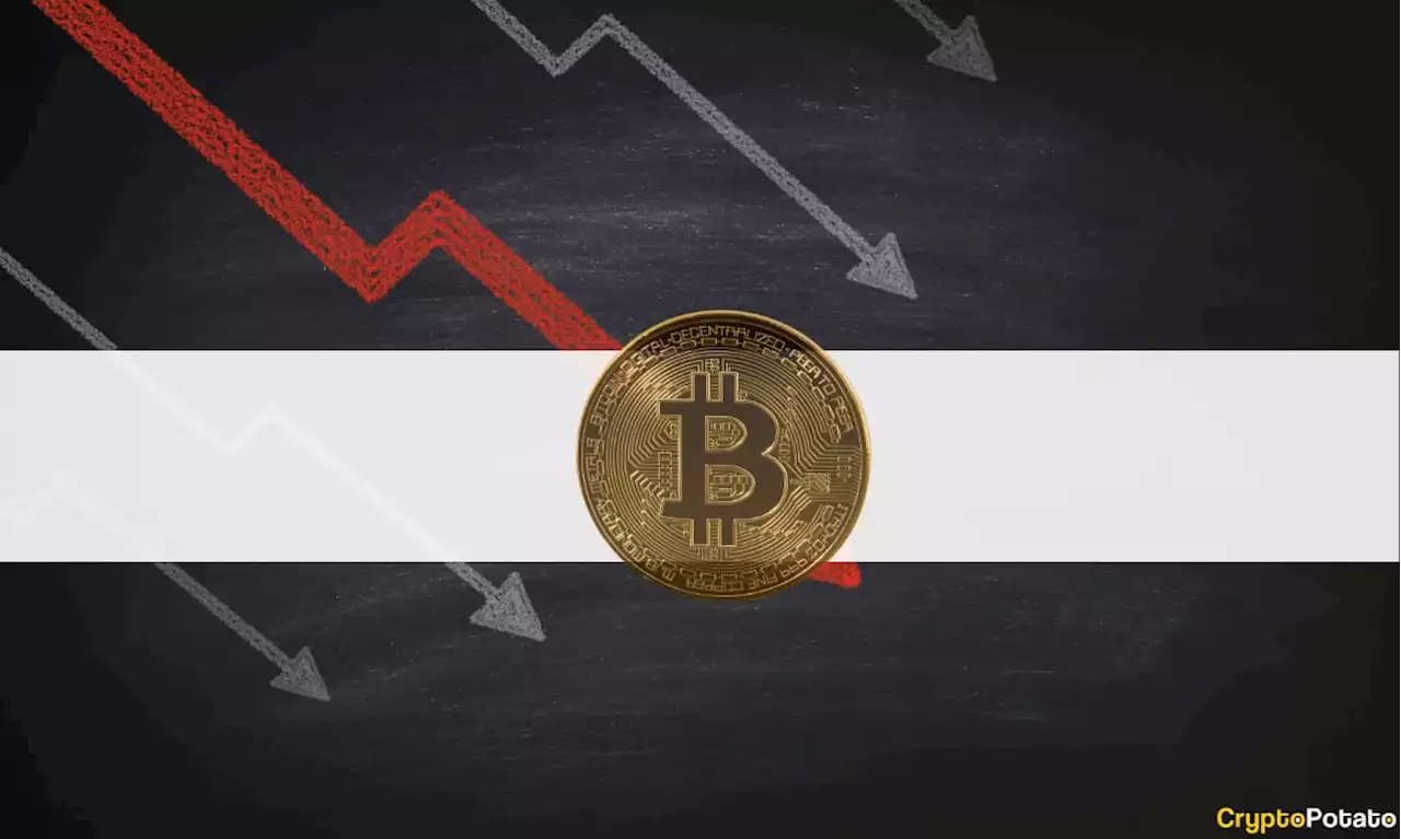 Crypto Markets Shed $150B as Bitcoin Collapses to Lowest Point Since Russia's Invasion (Market Watch)