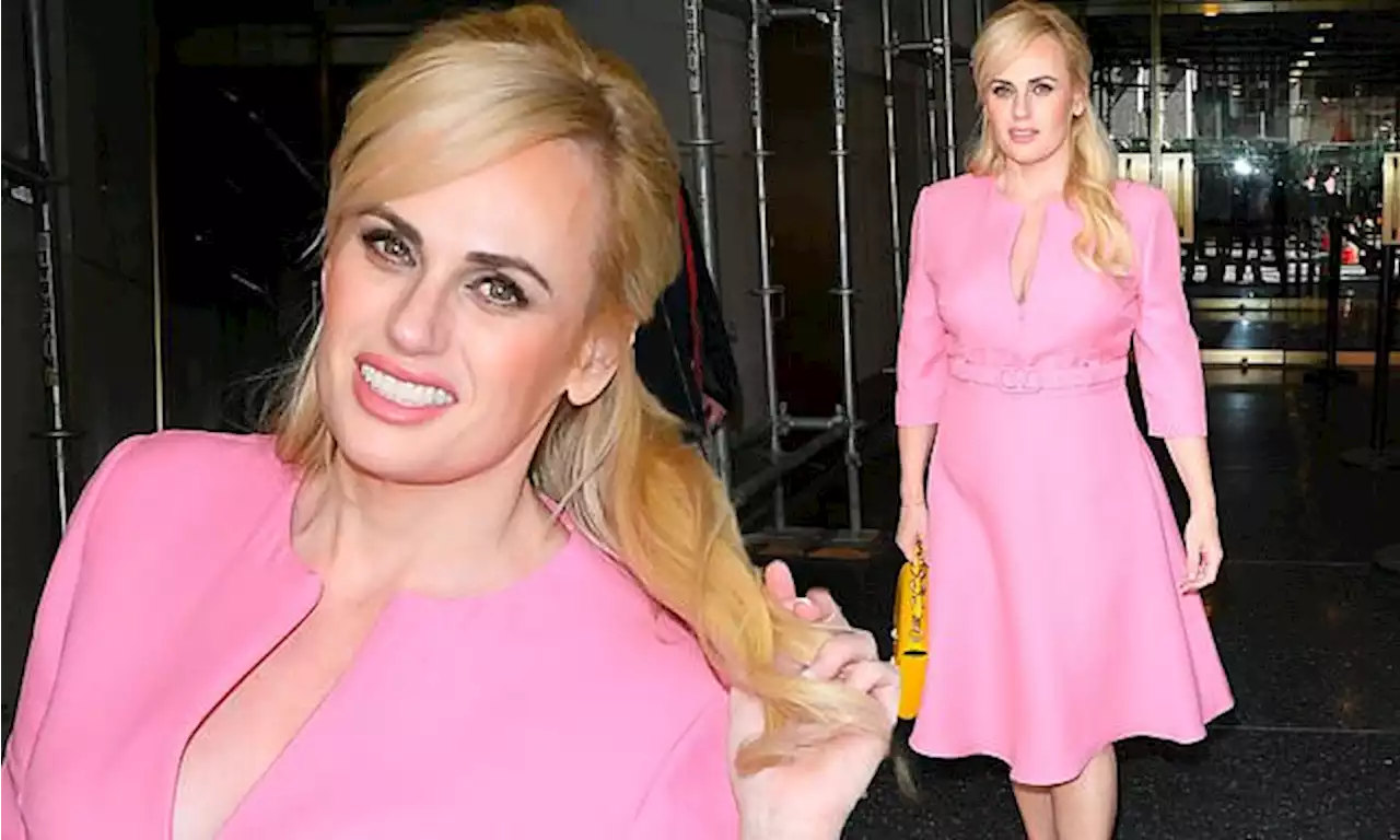 Rebel Wilson shows off her 35kg weight loss in a chic pink dress