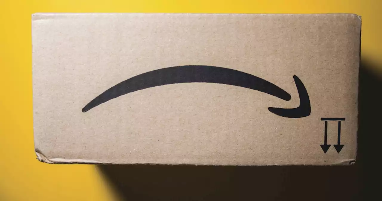 Slow growth for Amazon and Meta hampers regulation efforts