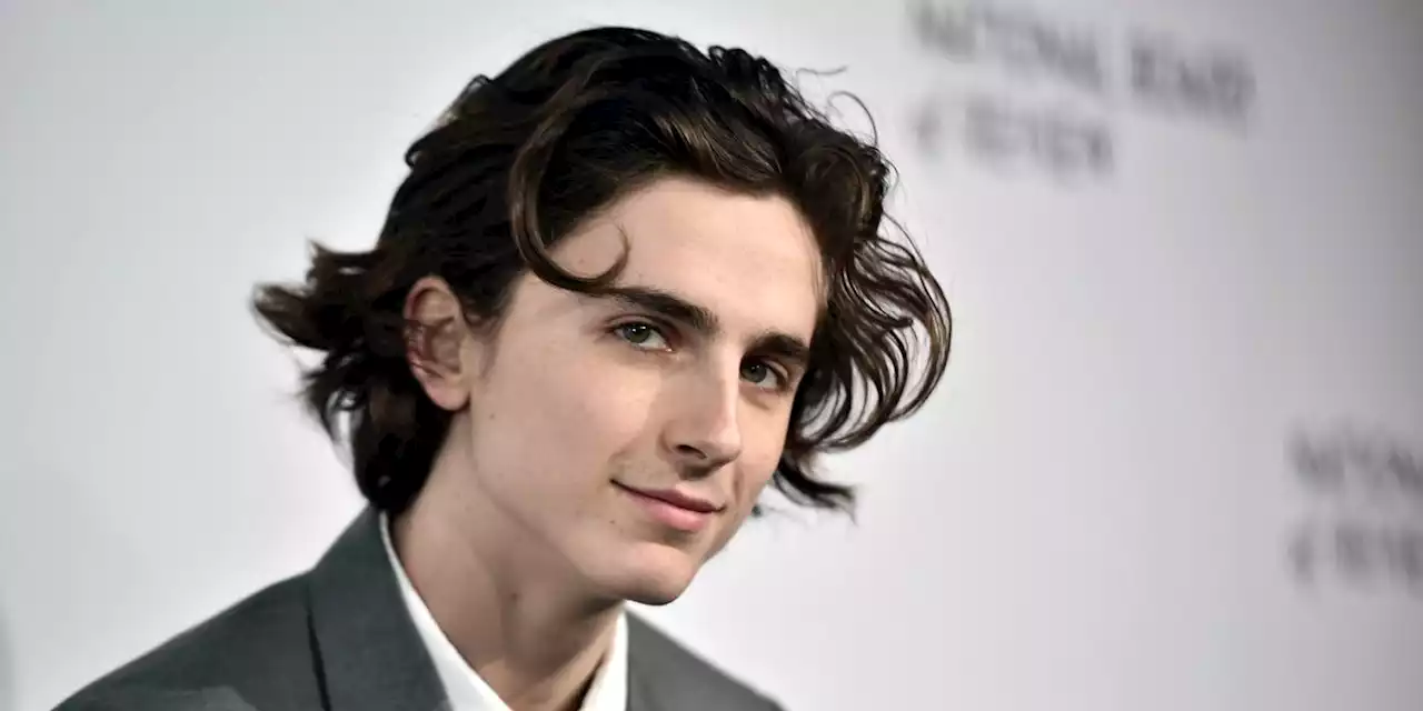 Dune star Timothée Chalamet's West End debut cancelled