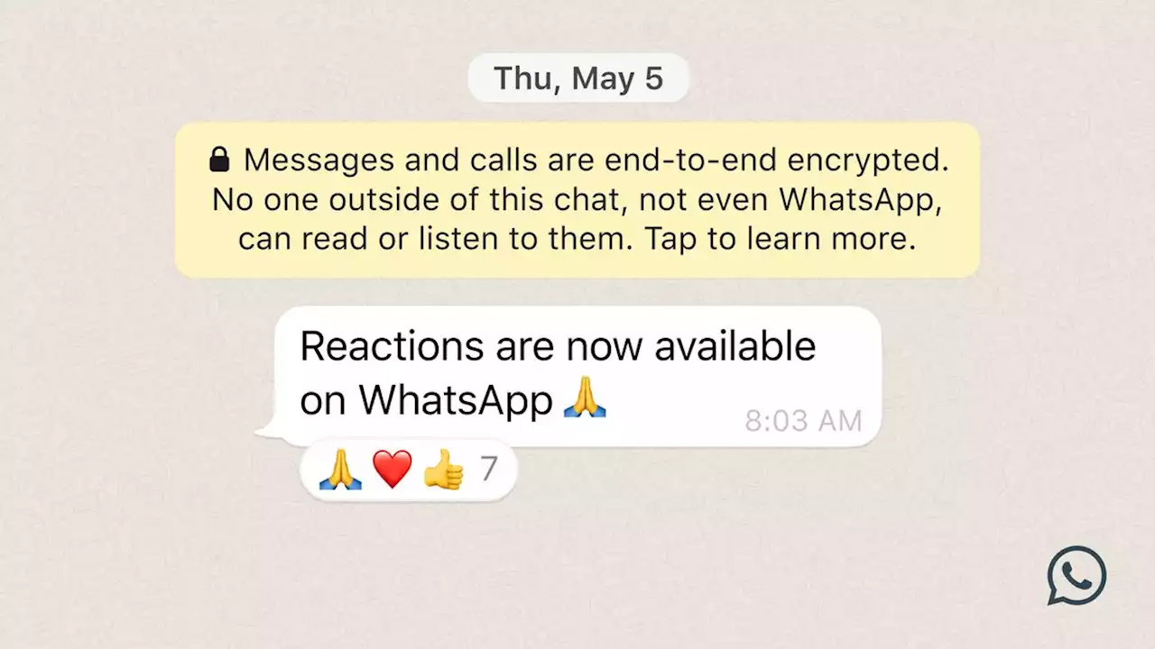 WhatsApp's emoji reactions begin rolling out to everyone | Engadget