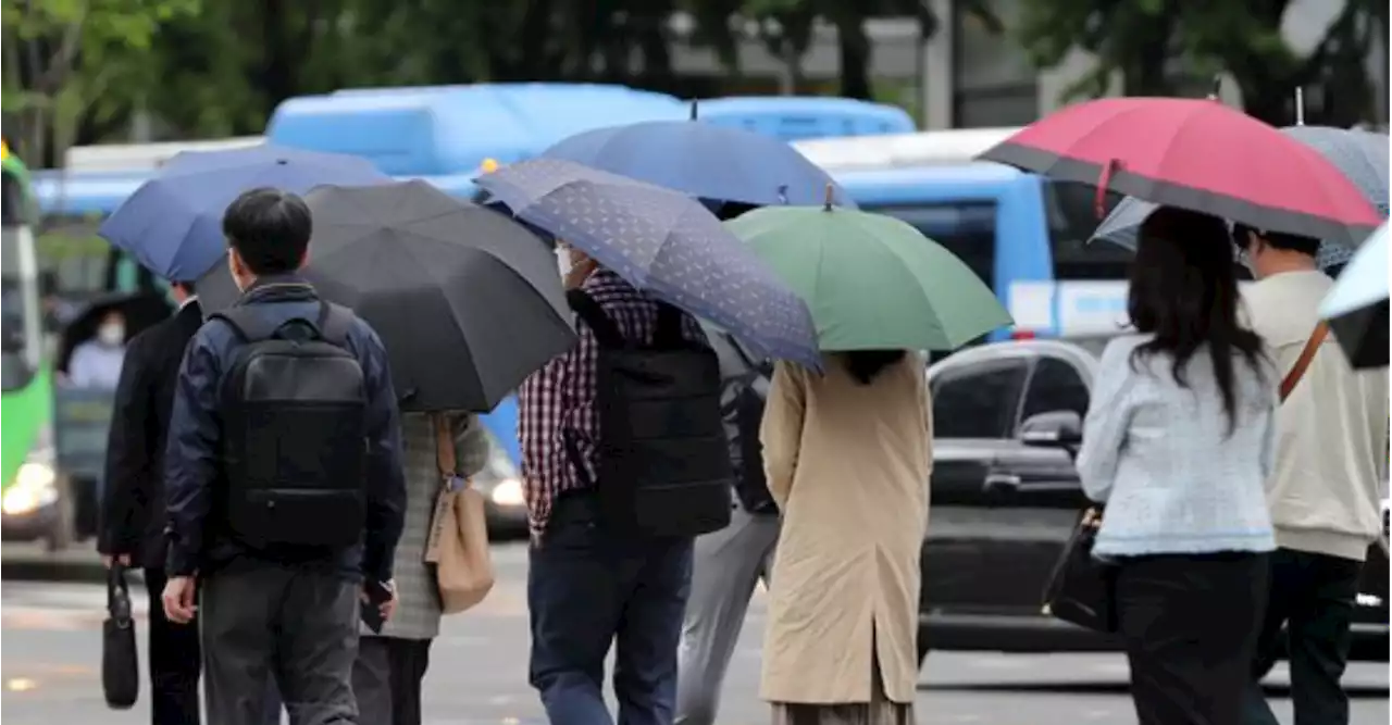 토요일 곳곳에 비, 일요일 전국 '흐림'…낮 더위 한풀 꺾여요