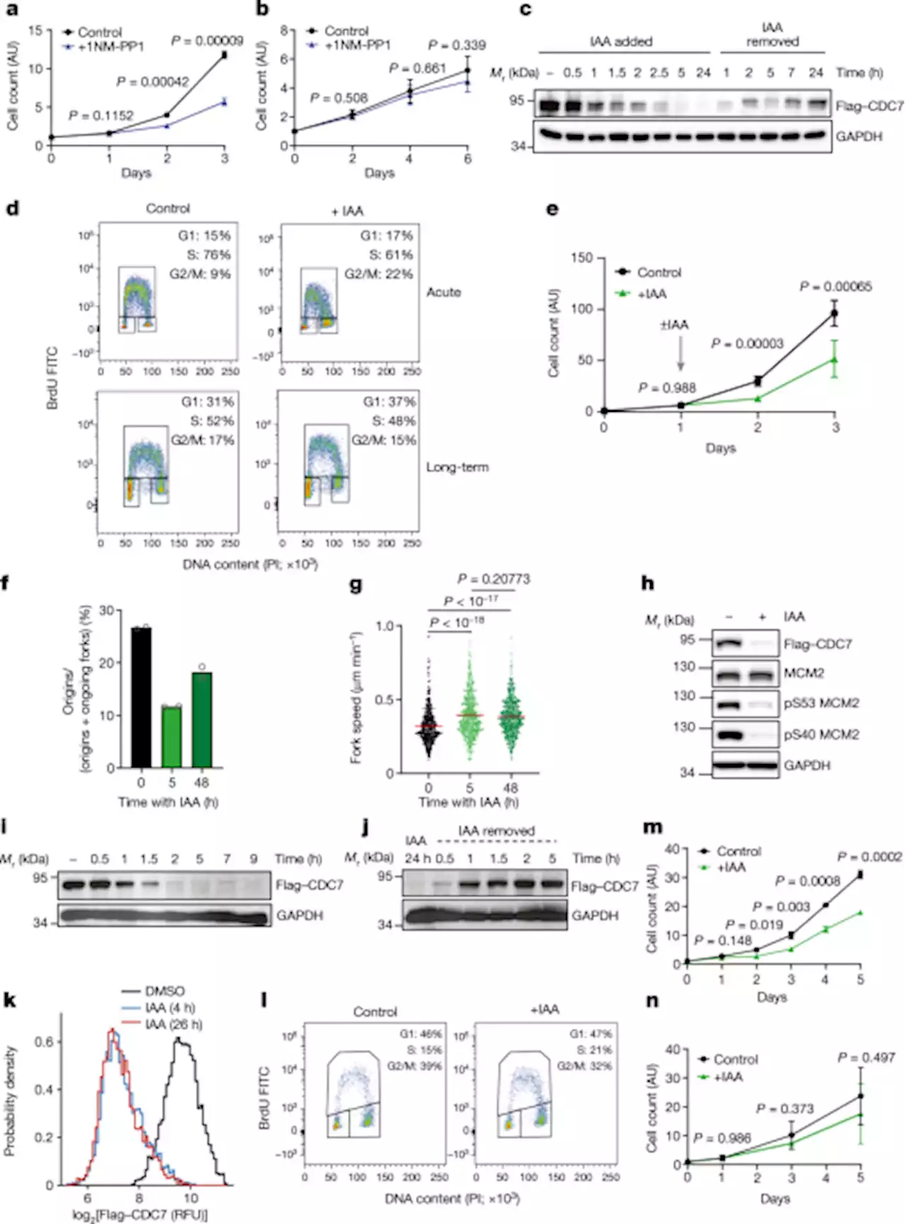 CDC7-independent G1/S transition revealed by targeted protein degradation - Nature