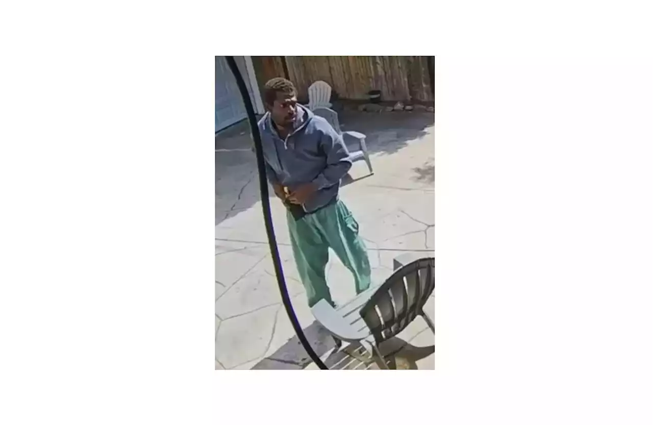 San Diego Police Asking For Publics Help Identifying Prowler In