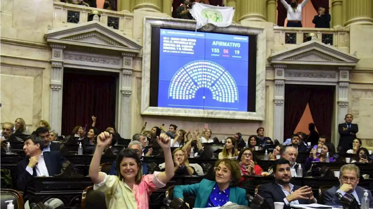 Diputados aprobó el proyecto de Cannabis Medicinal y trató Boleta Única