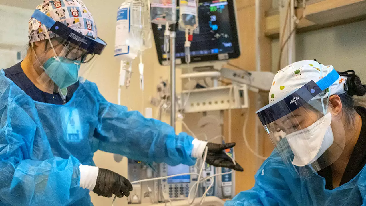 Expect rise in US COVID deaths, hospital admissions over next 4 weeks: CDC forecast