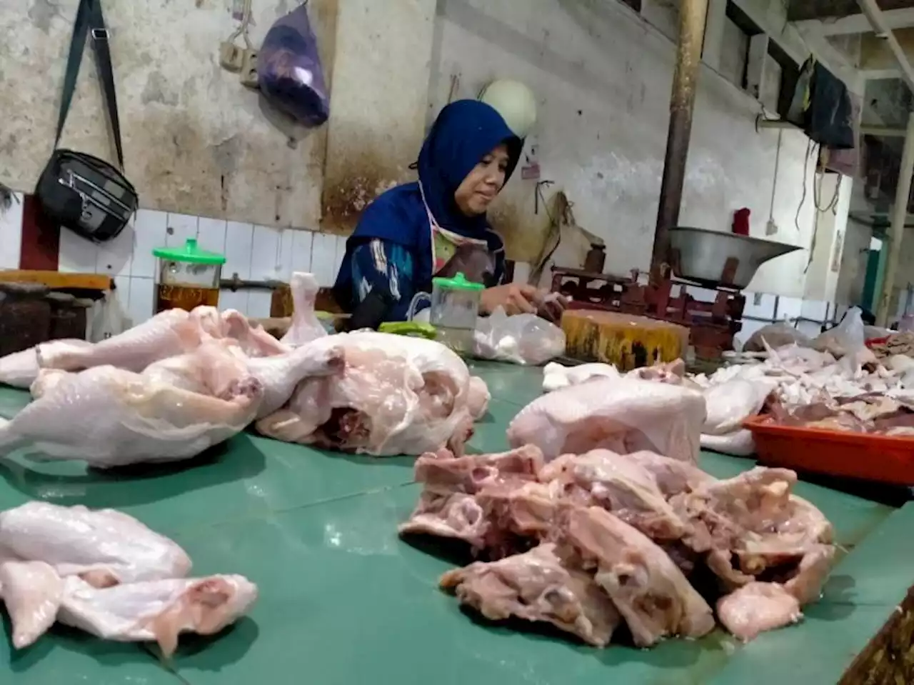 Harga Daging Ayam di Kota Malang Masih Tinggi |Republika Online