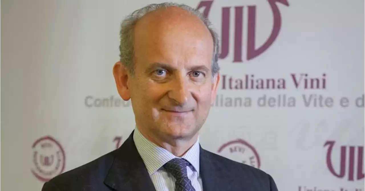 Frescobaldi (Uiv): «Il biologico è superato dalla sostenibilità, serve una nuova certificazione»