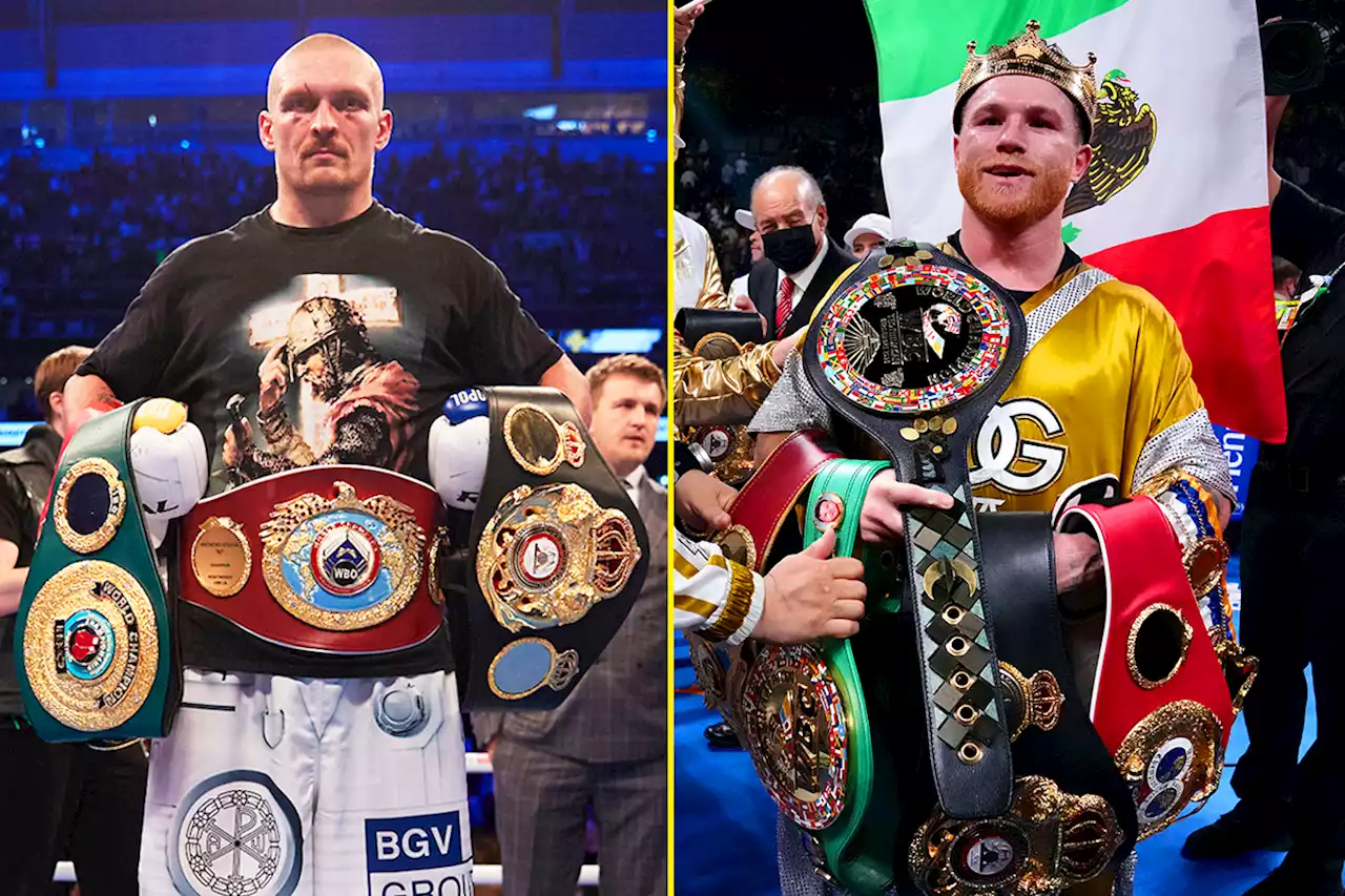 'I like it' - Canelo and Oleksandr Usyk both open to crazy clash at heavyweight