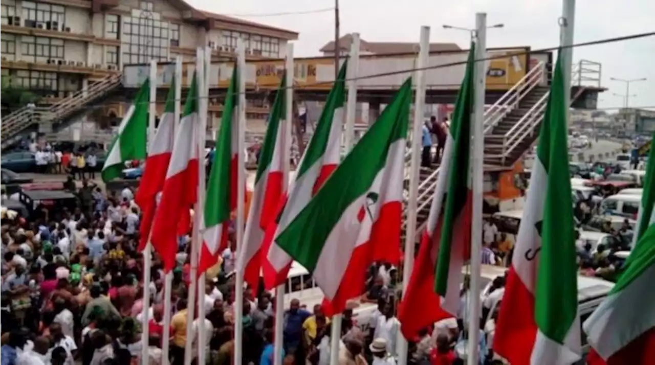 2023: Presidential hopeful sues PDP over 'high cost' of nomination form | TheCable