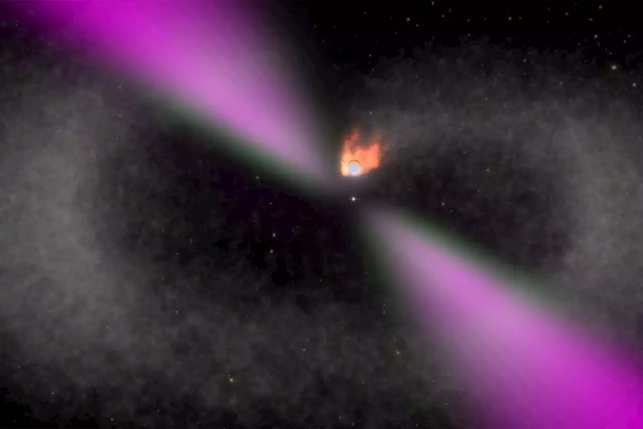 A Pulsar and Star are Orbiting Each Other Every 62 Minutes. The Fastest 'Black Widow' Binary Ever Seen