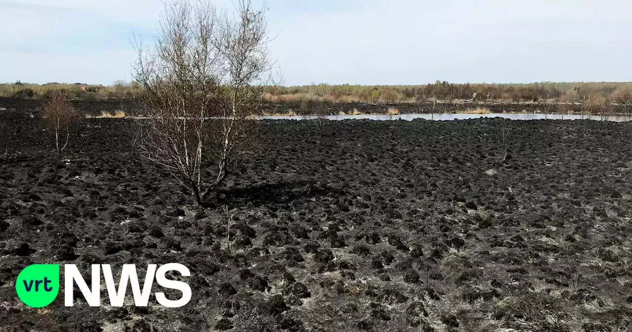 Meest brandbare planten verwijderd van Groot Schietveld in de Noorderkempen om nieuwe brand te voorkomen