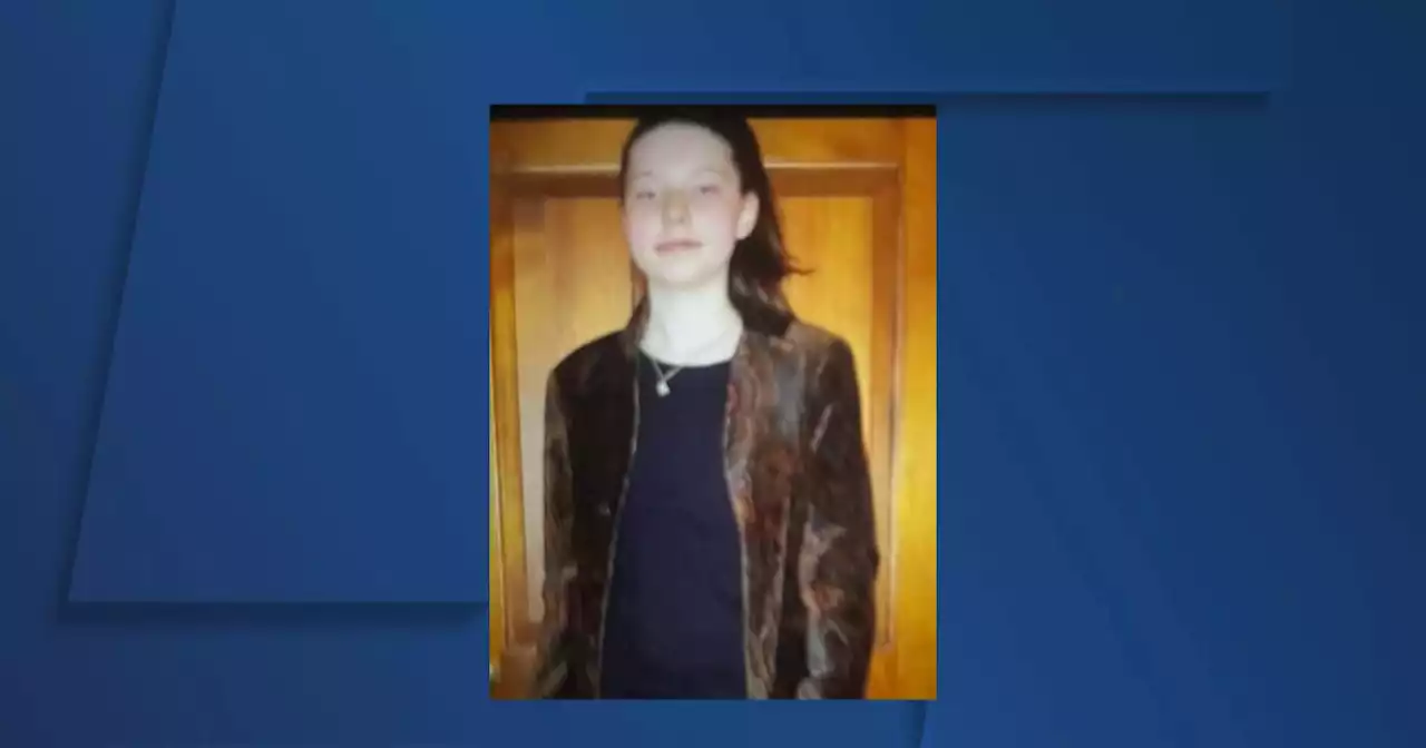 Summit County Sheriff's Office searching for 11-year-old who left home and never returned