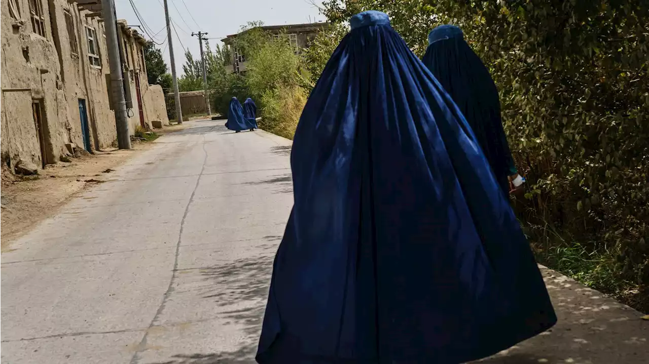 Taliban order Afghan women to cover faces in public