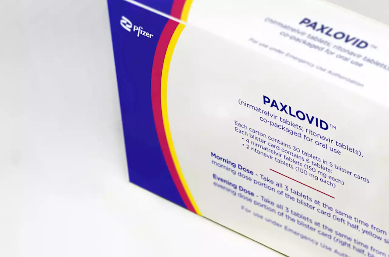 What is Paxlovid and how will it help the fight against coronavirus? An infectious diseases physician answers questions on the COVID-19 pill |