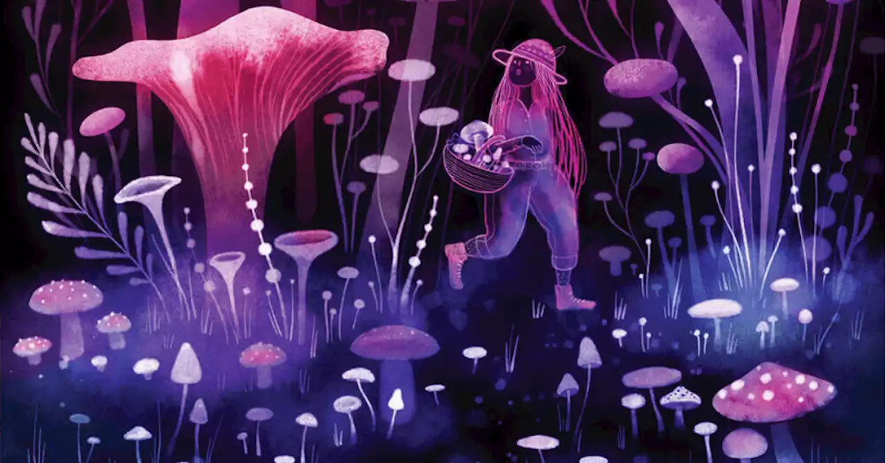 The Secret History of Women and Mushrooms: A Centuries-Old Tale of Empowerment, Enlightenment, Education, and Magic