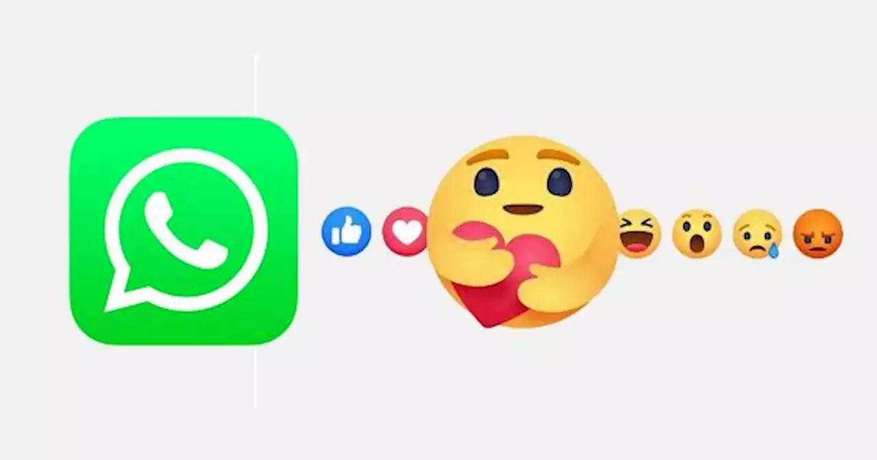 Cambian los mensajes de WhatsApp: ya lleg� la funci�n que todos ped�an