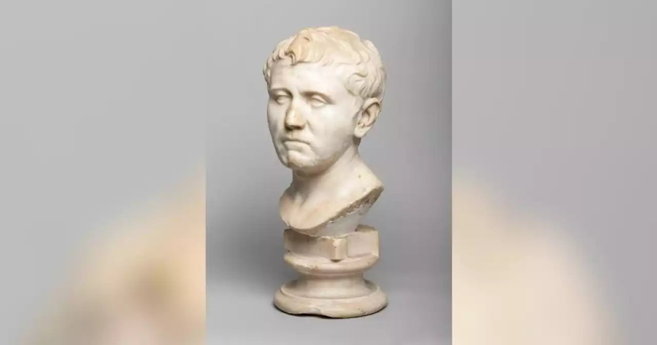 Woman finds ancient Roman bust at Texas Goodwill store