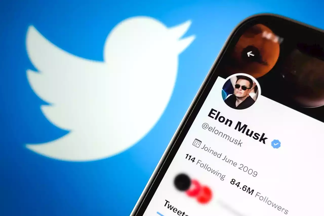 Elon Musk wants to quadruple Twitter users by 2028 | Engadget