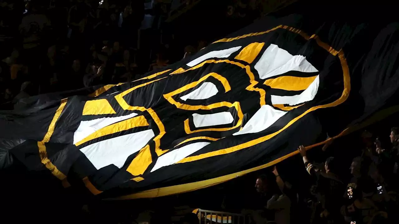 NHL off-ice official injured at Bruins' playoff game