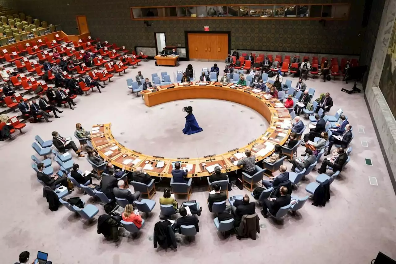 Unanimous UN Security Council declaration backs 'peaceful' Ukraine solution