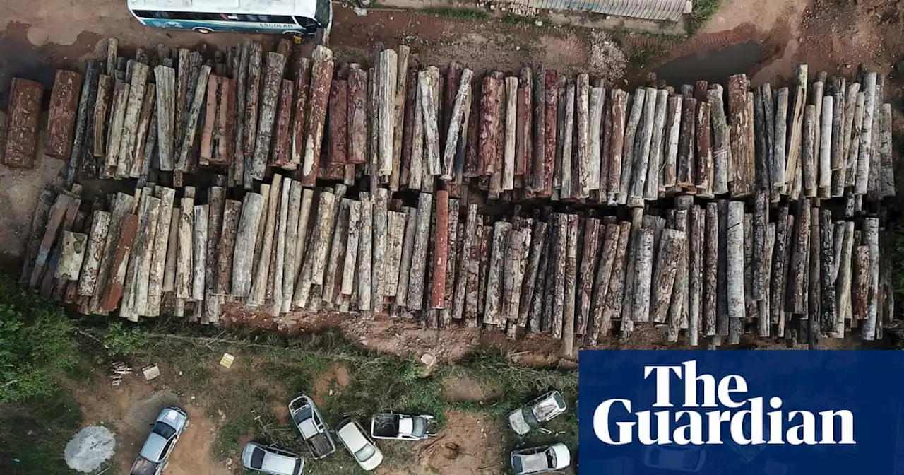 ‘Record after record’: Brazil’s Amazon deforestation hits April high, nearly double previous peak