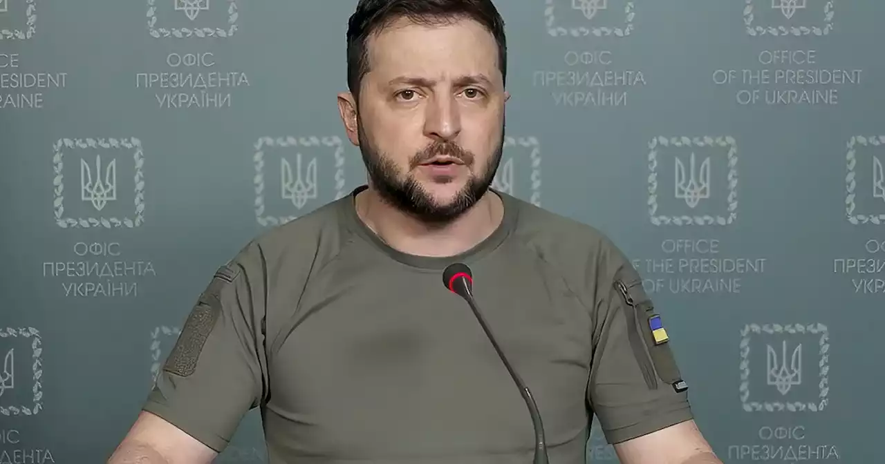 Solo il Cretino Collettivo nella sua fase senile non capisce la differenza tra Saddam e Zelensky