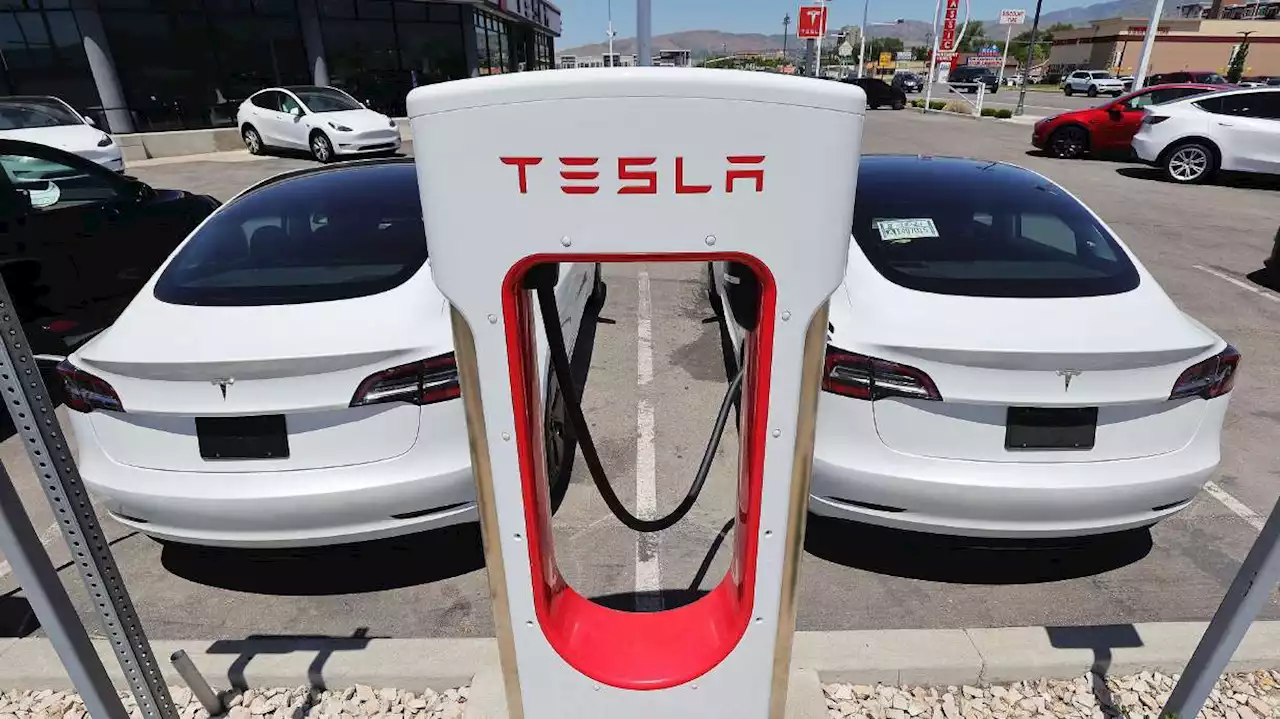 Elon Musk and Tesla's quiet success with a cobalt-free EV battery