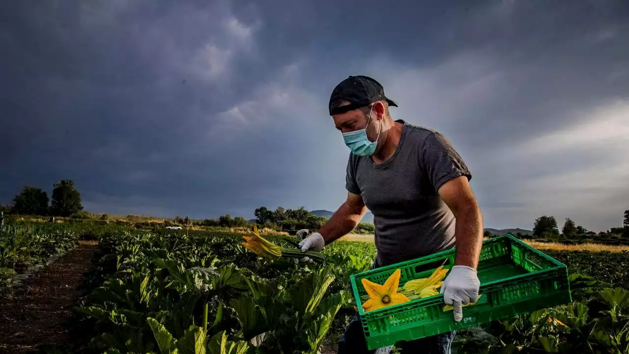 Lavoro irregolare: “Nel 2021 giro di affari da 76 miliardi”