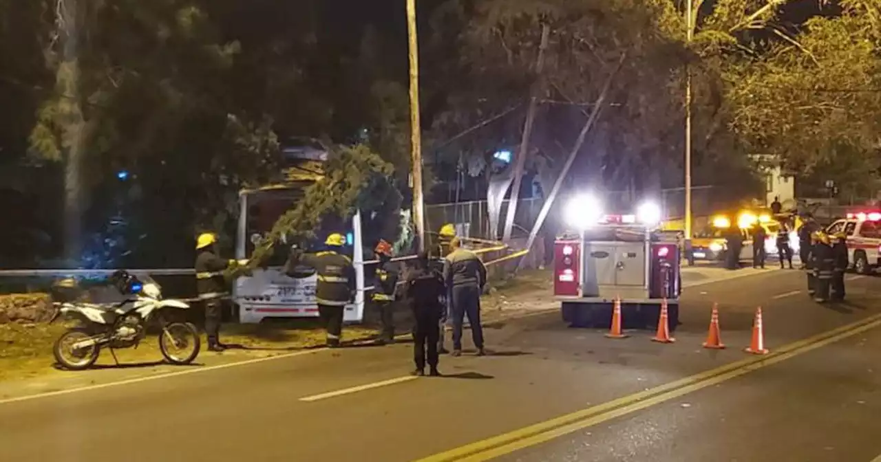 Un colectivo perdió el control y se estrelló contra un árbol en Villa Carlos Paz | Sucesos | La Voz del Interior