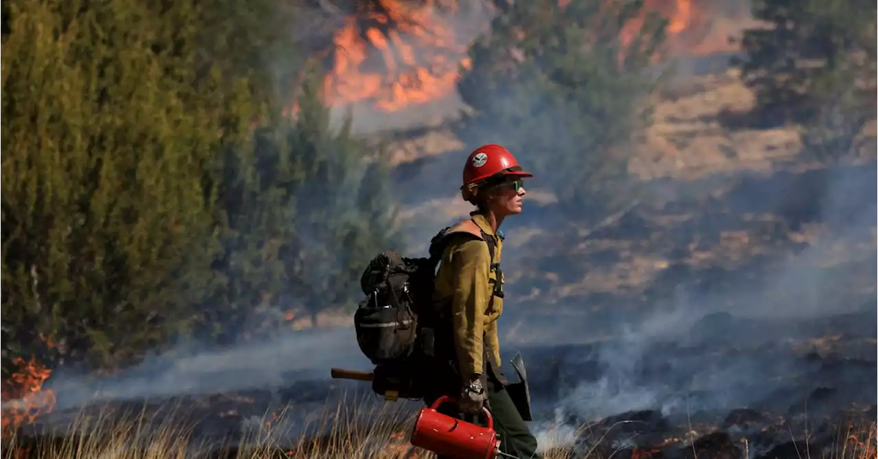 Heavy winds expected to fan New Mexico wildfire over weekend