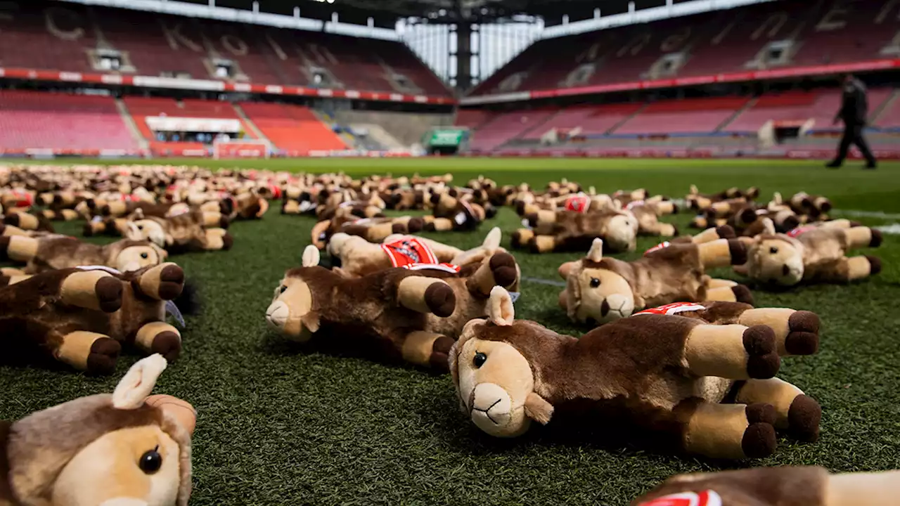 220 peluches, une par victime: ce club allemand rend hommage aux enfants tués en Ukraine (photos)