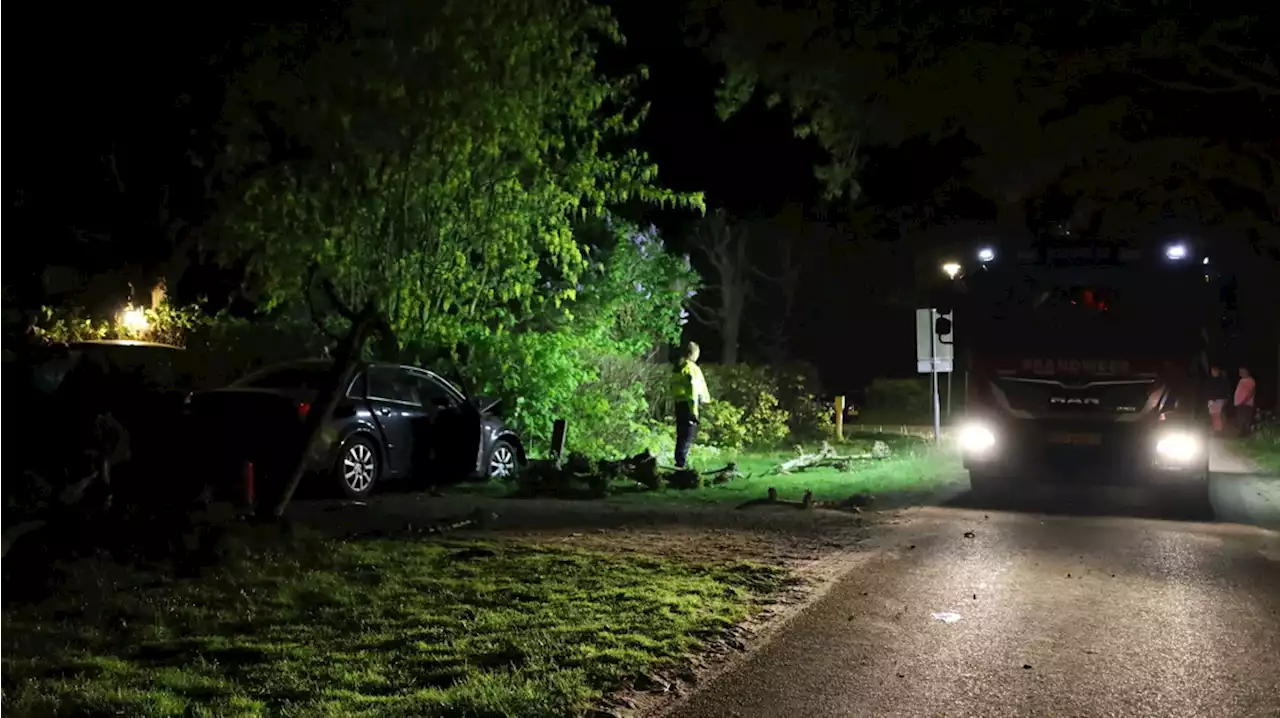 Auto raakt van de weg en belandt in tuin in Zuidwolde