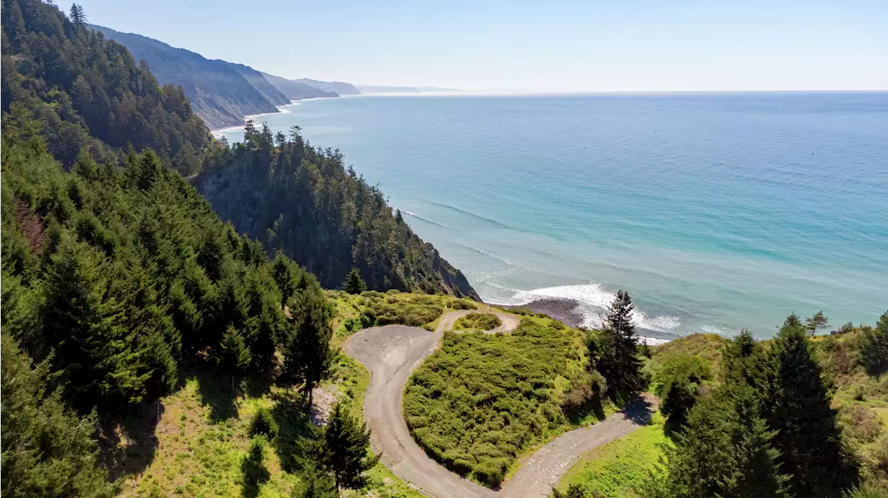 66 acres of California’s Lost Coast up for auction