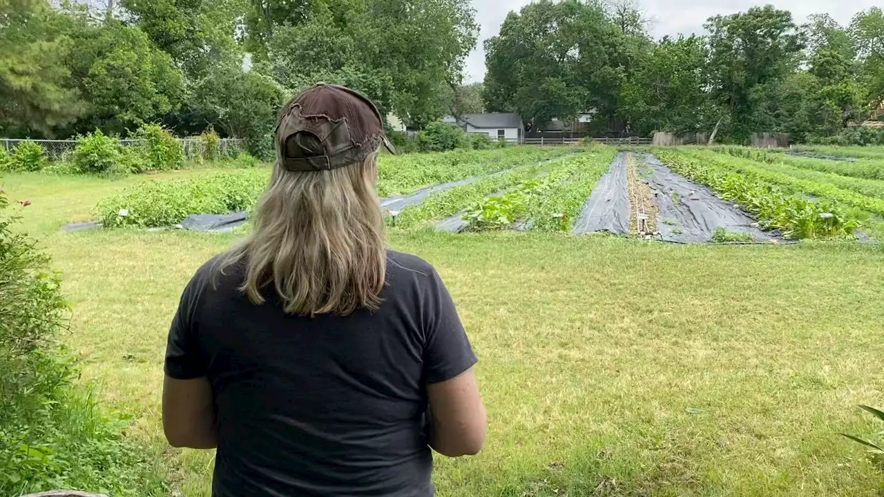 Local farm finding ways to combat drought conditions