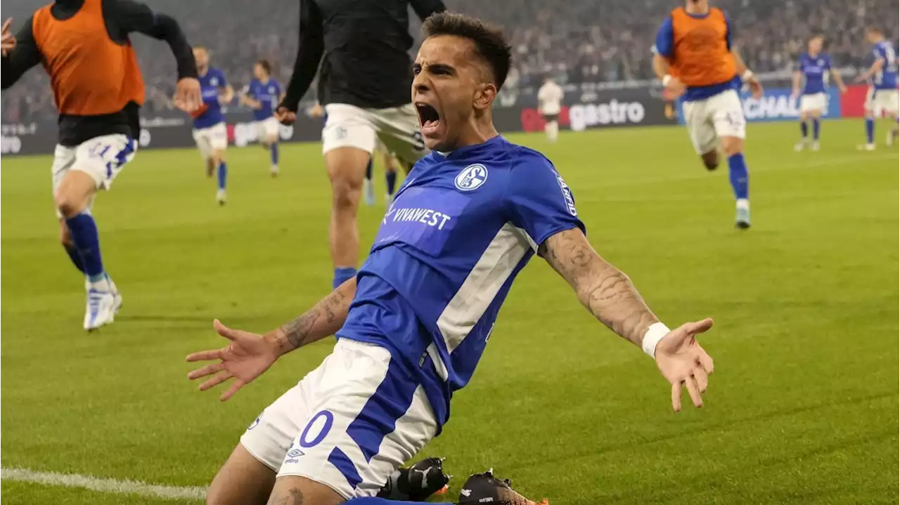 Schalke 04 steigt nach Wahsinnsspiel wieder in die Bundesliga auf