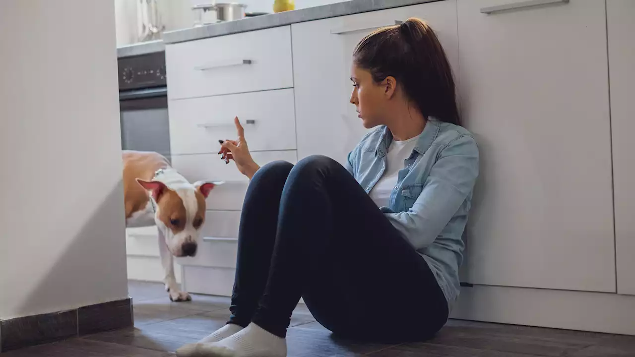 Half of pet owners ignore this before getting pals and are later disgusted by it