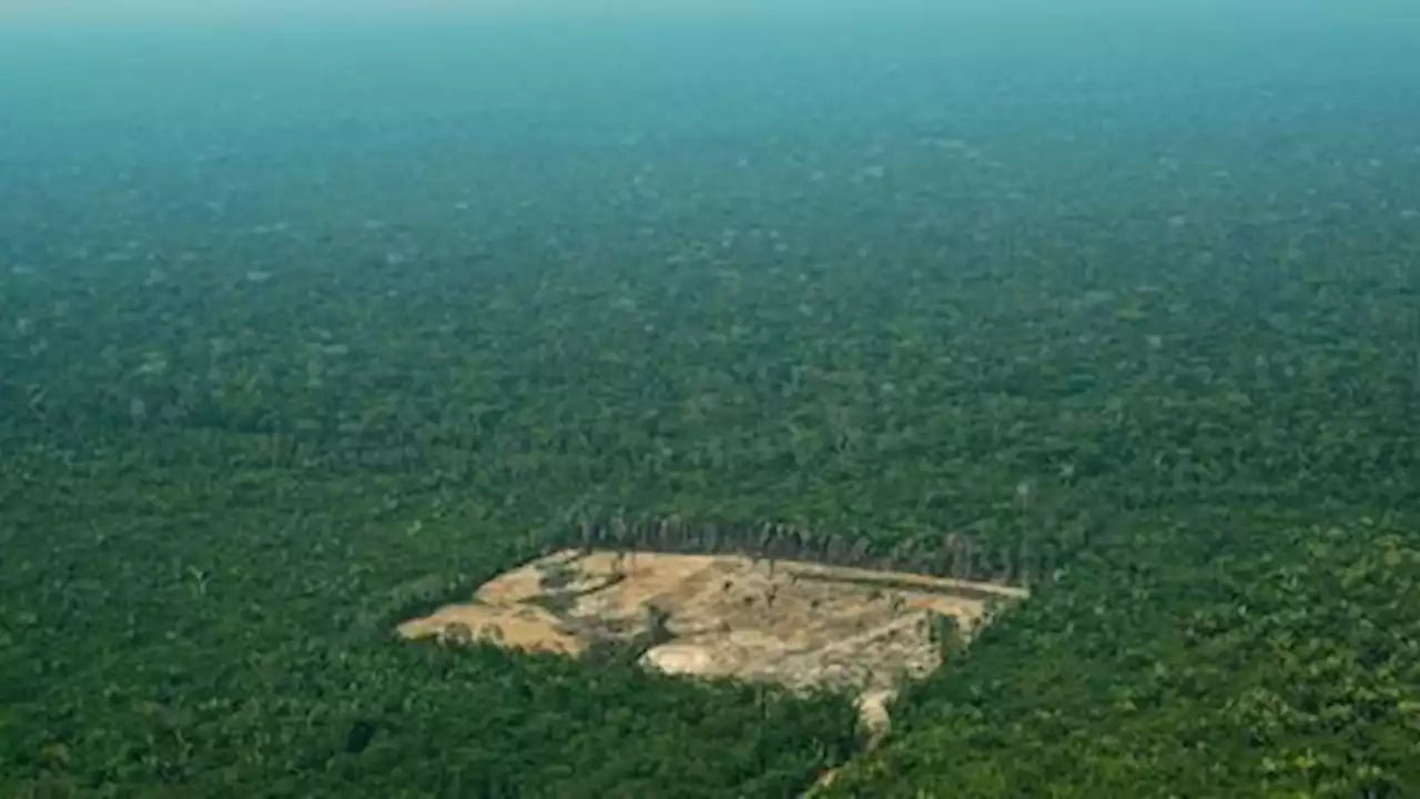 Brazil's Amazon deforestation shatters April record