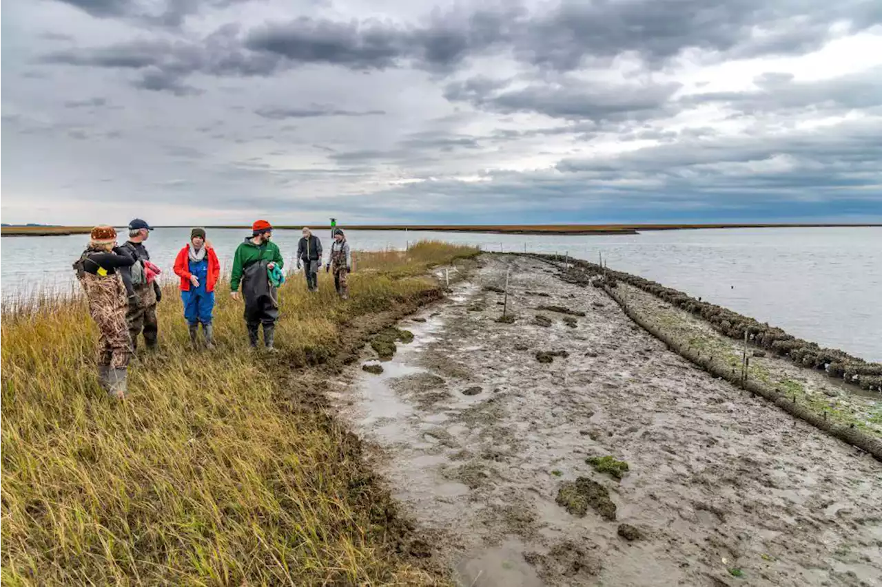 A guide to volunteering in the outdoors