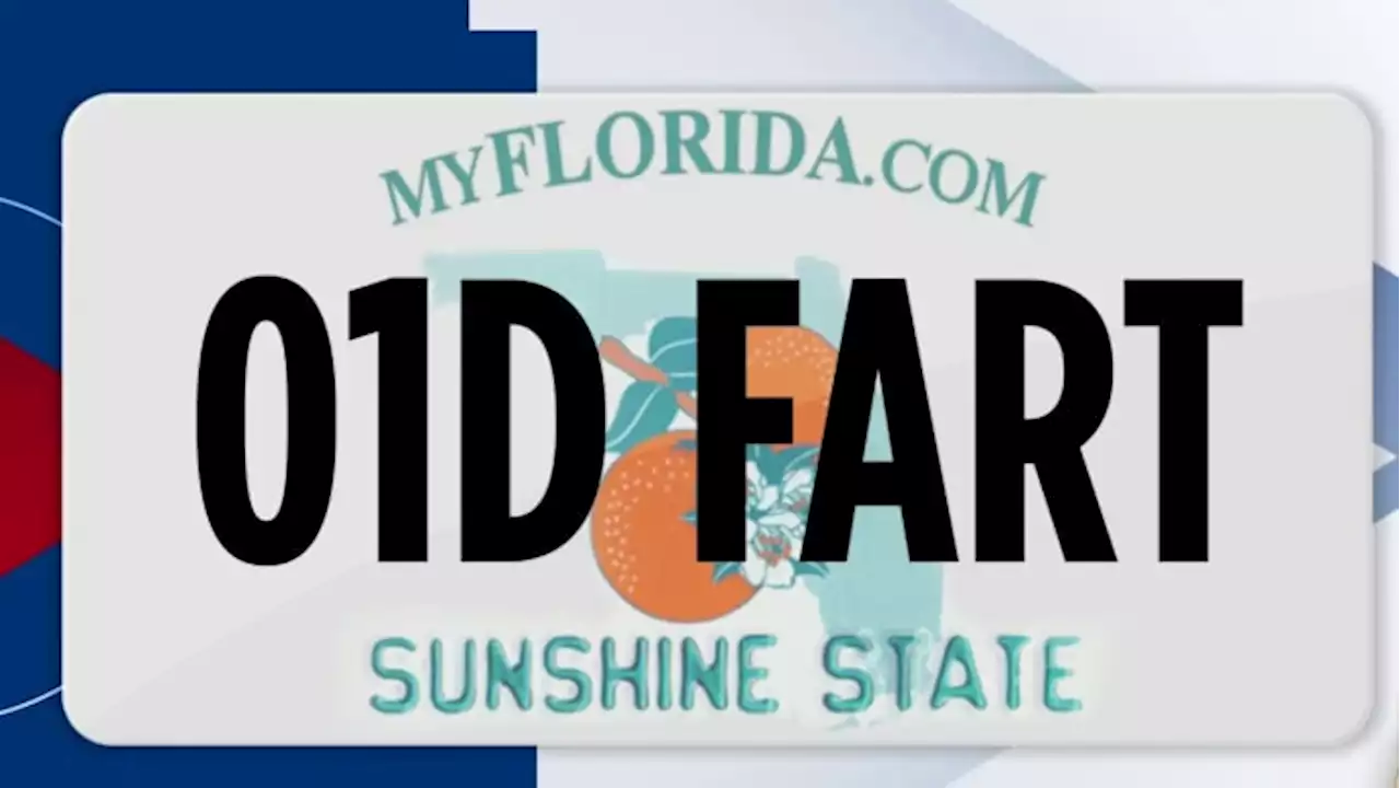 License plates approved and rejected in Florida: MCNASTY made it through, MR POOP didn’t