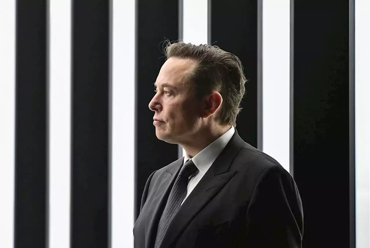 Can Spain make Elon Musk's solar energy dream a reality?