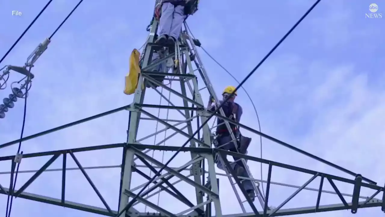 Wildlife could pose 'catastrophic' risks for power grids, experts say