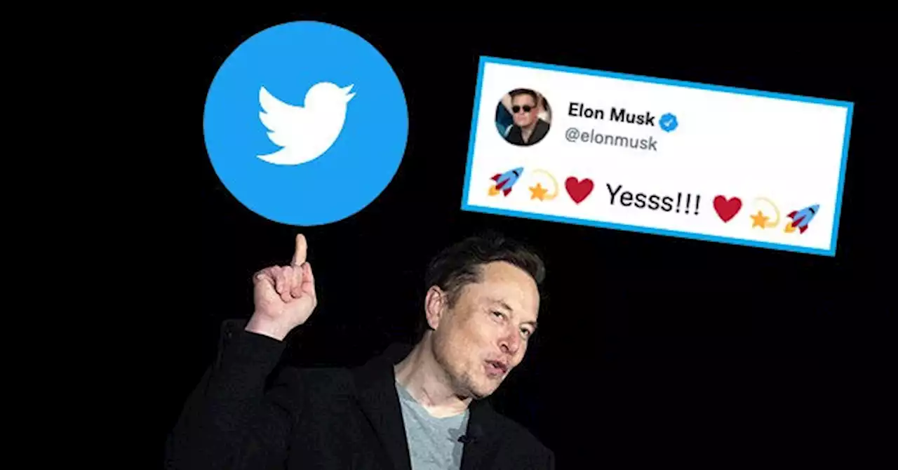 Report: Elon Musk Expected to Serve as Temp CEO of Twitter