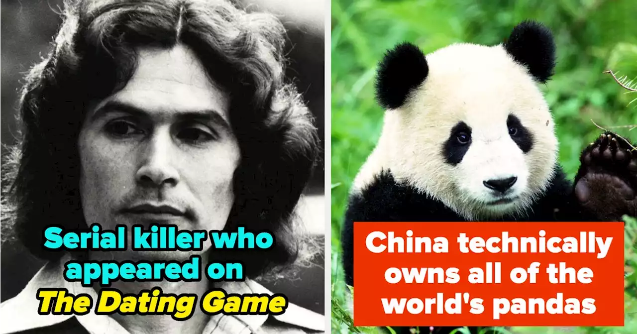 21 Truly Fascinating Facts I Learned This Week