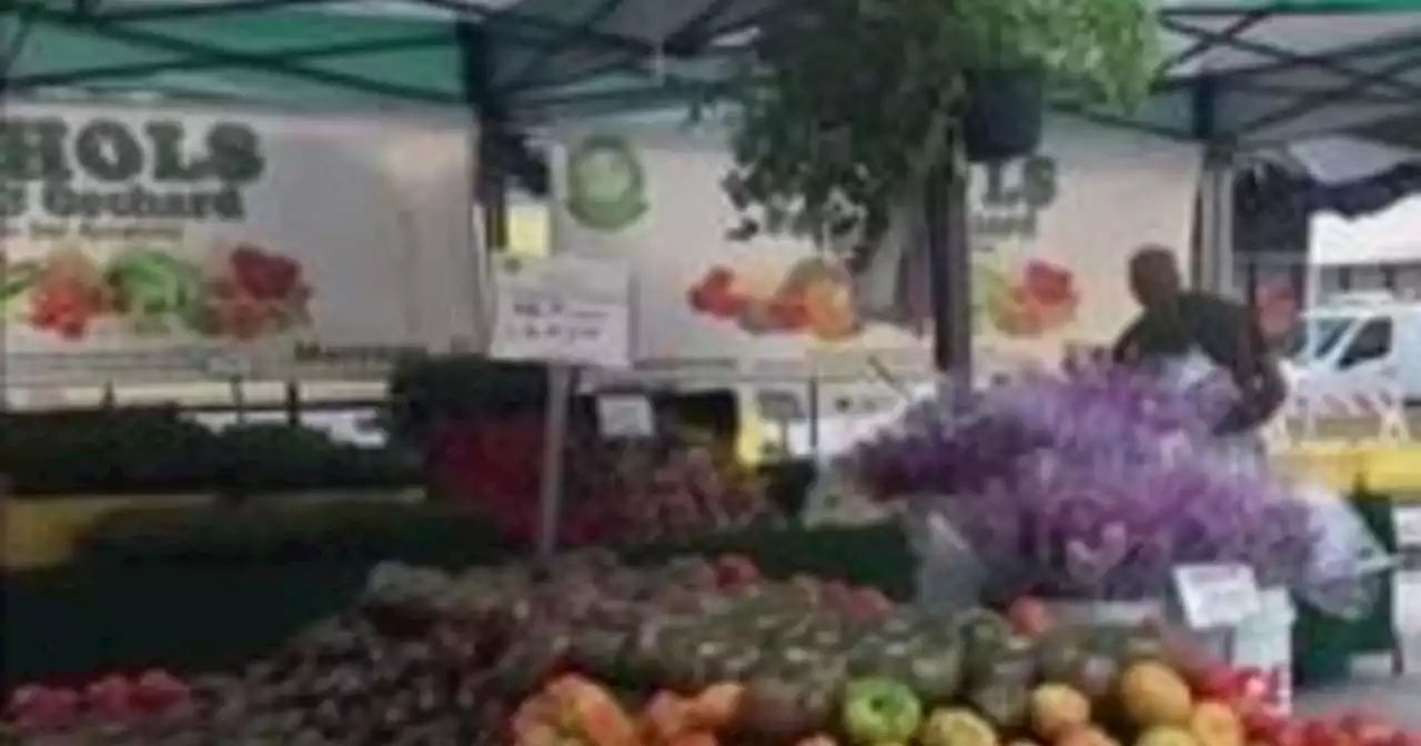 Downtown Evanston Farmers Market returns for 47th season