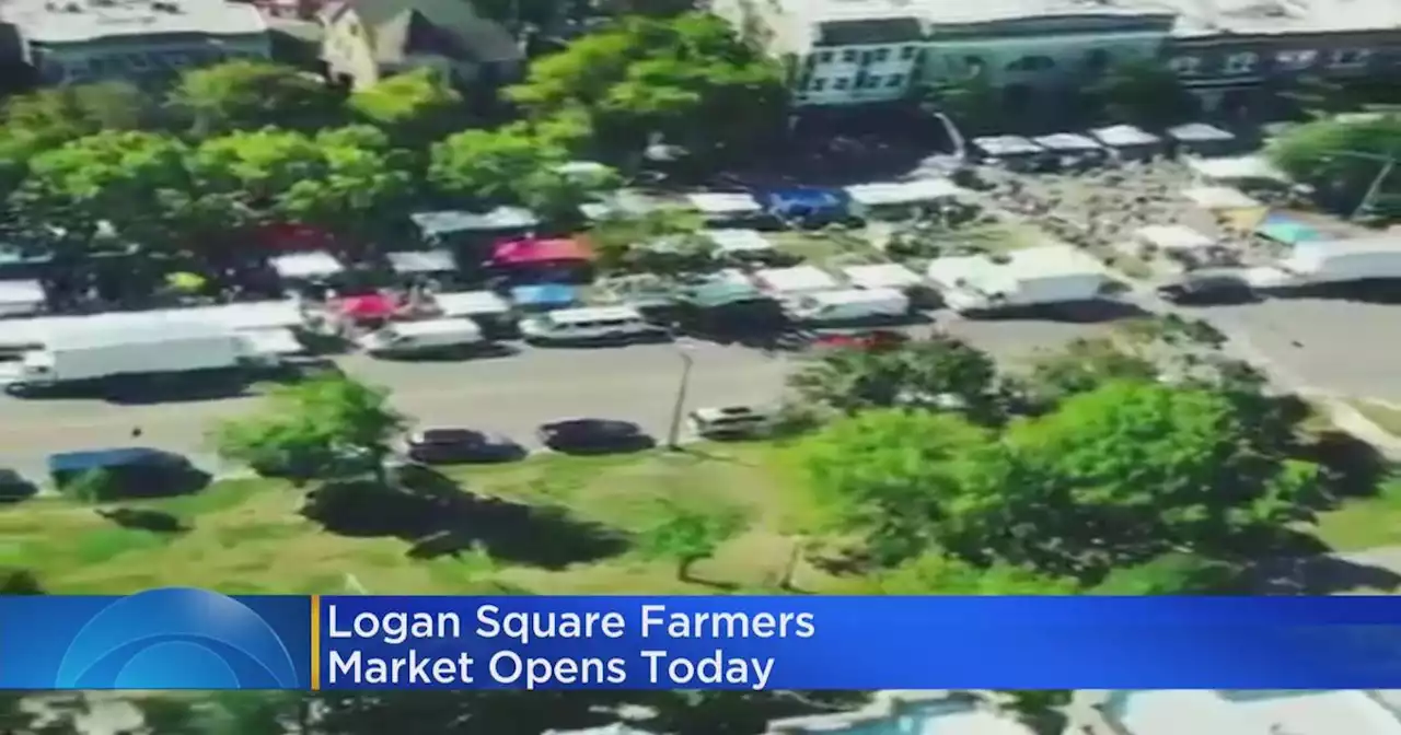 Logan Square Farmers Market Returns Sunday
