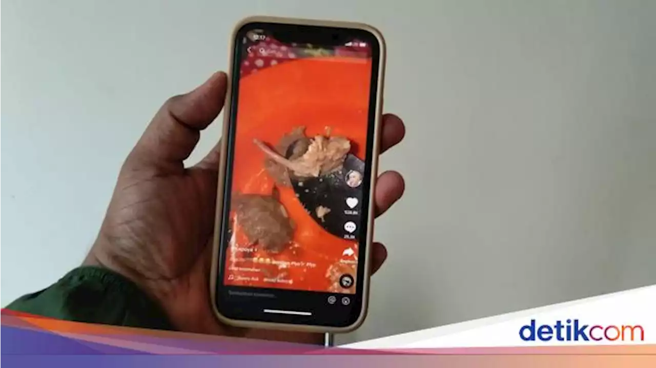 Pemilik Akun TikTok Jelaskan Soal Video Bakso Diduga Daging Tikus ke Polisi