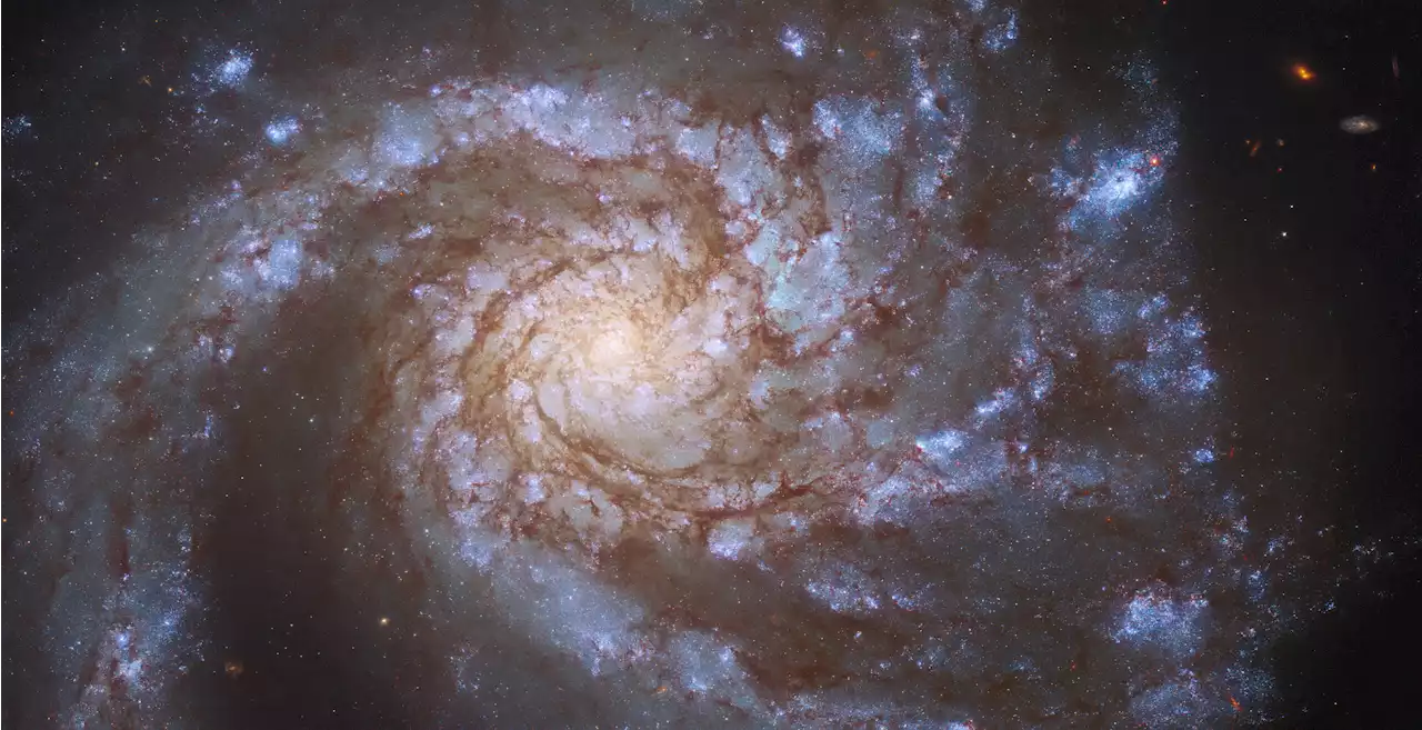 See the grand design of spiral galaxy M99 in Hubble image | Digital Trends