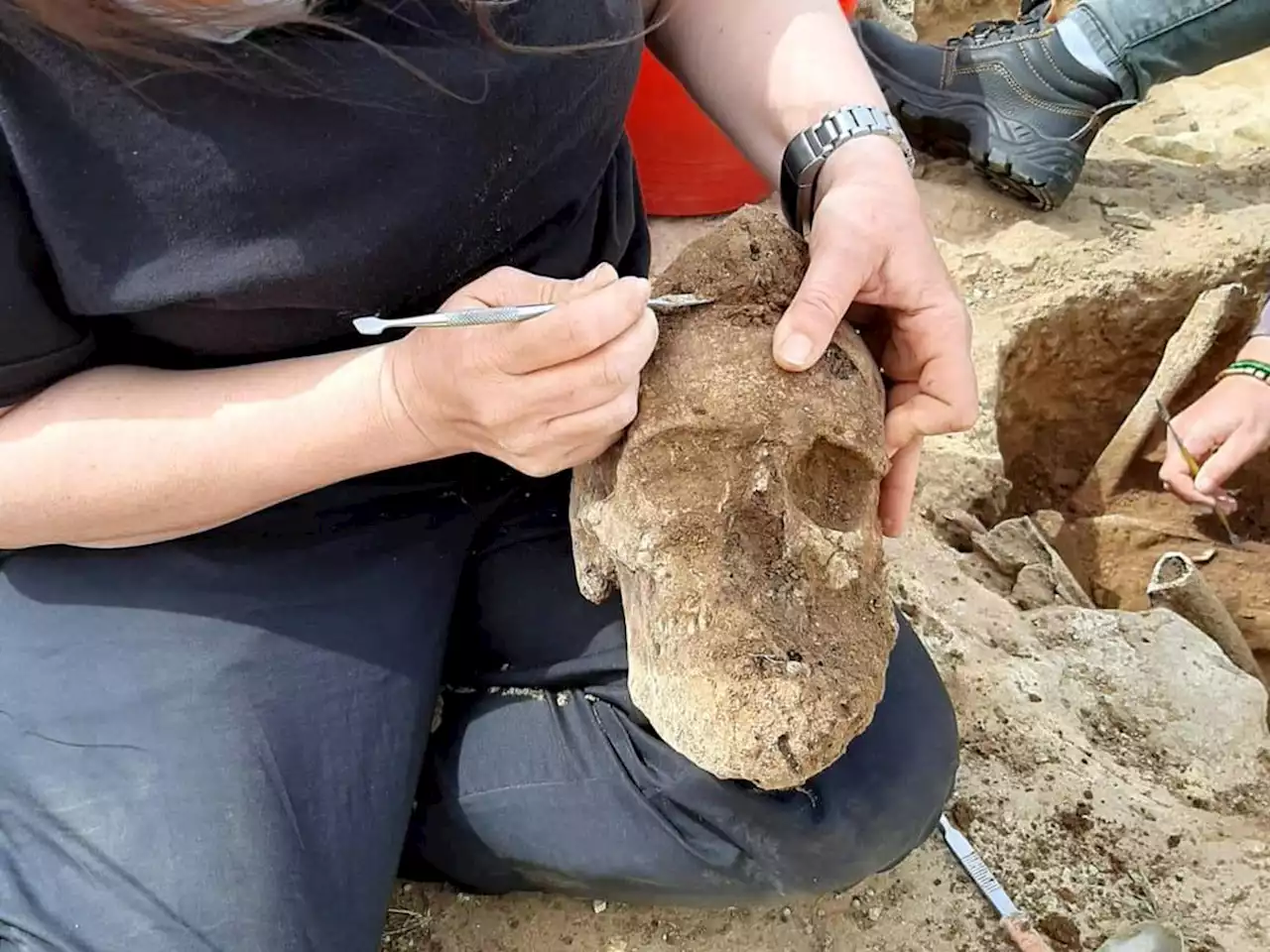 Trovati due nuovi giganti i pugili di Mont'e Prama 'Orgoglio di Sardegna'