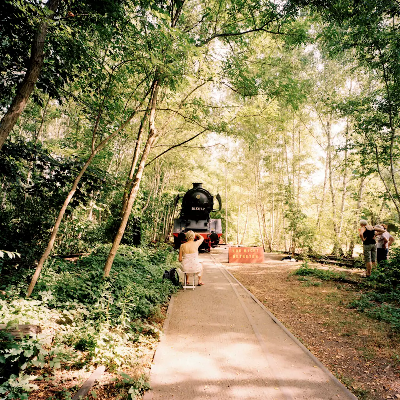 A Berlino, un parco urbano guida la grande rivincita della natura - iO Donna